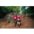 Team 02 / Raid Amazones Sri Lanka 2022 - J6 Trail