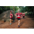 Team 65 / Raid Amazones Sri Lanka 2022 - J6 Trail