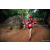 Team 73 / Raid Amazones Sri Lanka 2022 - J6 Trail