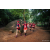 Team 04 / Raid Amazones Sri Lanka 2022 - J6 Trail