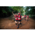 Team 77 / Raid Amazones Sri Lanka 2022 - J6 Trail