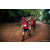 Team 33 / Raid Amazones Sri Lanka 2022 - J6 Trail