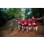 Team 78 / Raid Amazones Sri Lanka 2022 - J6 Trail