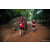 Team 28 / Raid Amazones Sri Lanka 2022 - J6 Trail