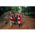 Team 86 / Raid Amazones Sri Lanka 2022 - J6 Trail