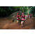 Team 101 / Raid Amazones Sri Lanka 2022 - J6 Trail