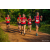 Raid Amazones Sri Lanka 2022 - J6 Trail