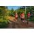 Team 304 / Raid Amazones Sri Lanka 2022 - J6 Trail