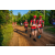 Team 309 / Raid Amazones Sri Lanka 2022 - J6 Trail