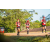 Team 314 / Raid Amazones Sri Lanka 2022 - J6 Trail