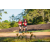 Team 02 / Raid Amazones Sri Lanka 2022 - J6 Trail