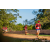 Team 32 / Raid Amazones Sri Lanka 2022 - J6 Trail