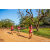 Team 306 / Raid Amazones Sri Lanka 2022 - J6 Trail