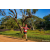 Team 326 / Raid Amazones Sri Lanka 2022 - J6 Trail