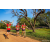Team 304 / Raid Amazones Sri Lanka 2022 - J6 Trail