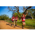 Team 312 / Raid Amazones Sri Lanka 2022 - J6 Trail