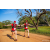 Team 101 / Raid Amazones Sri Lanka 2022 - J6 Trail