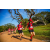 Team 69 / Raid Amazones Sri Lanka 2022 - J6 Trail