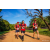 Team 325 / Raid Amazones Sri Lanka 2022 - J6 Trail