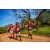 Team 305 / Raid Amazones Sri Lanka 2022 - J6 Trail