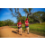 Team 31 / Raid Amazones Sri Lanka 2022 - J6 Trail