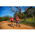 Team 13 / Raid Amazones Sri Lanka 2022 - J6 Trail