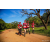 Team 23 / Raid Amazones Sri Lanka 2022 - J6 Trail