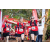 Team 96 / Raid Amazones Sri Lanka 2022 - J6 Trail