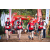 Team 101 / Raid Amazones Sri Lanka 2022 - J6 Trail