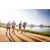 Team 14 / Raid Amazones Sri Lanka 2022 - J6 Trail