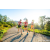 Team 304 / Raid Amazones Sri Lanka 2023 - J1 Trail