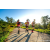 Team 317 / Raid Amazones Sri Lanka 2023 - J1 Trail