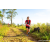 Team 310 / Raid Amazones Sri Lanka 2023 - J1 Trail