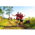 Team 05 / Raid Amazones Sri Lanka 2023 - J1 Trail