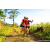 Team 13 / Raid Amazones Sri Lanka 2023 - J1 Trail