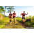 Team 63 / Raid Amazones Sri Lanka 2023 - J1 Trail