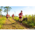 Team 307 / Raid Amazones Sri Lanka 2023 - J1 Trail