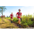 Team 32 / Raid Amazones Sri Lanka 2023 - J1 Trail