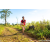 Team 31 / Raid Amazones Sri Lanka 2023 - J1 Trail