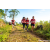 Team 314 / Raid Amazones Sri Lanka 2023 - J1 Trail