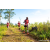 Team 85 / Raid Amazones Sri Lanka 2023 - J1 Trail