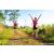 Team 75 / Raid Amazones Sri Lanka 2023 - J1 Trail