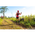 Team 28 / Raid Amazones Sri Lanka 2023 - J1 Trail