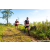 Team 30 / Raid Amazones Sri Lanka 2023 - J1 Trail