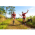 Team 87 / Raid Amazones Sri Lanka 2023 - J1 Trail