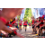 Team 32 / Raid Amazones Sri Lanka 2023 - J1 Trail