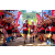 Team 30 / Raid Amazones Sri Lanka 2023 - J1 Trail