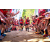 Team 28 / Raid Amazones Sri Lanka 2023 - J1 Trail