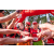 Team 34 / Raid Amazones Sri Lanka 2023 - J1 Trail