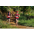 Team 18 / Raid Amazones Sri Lanka 2023 - J1 Trail